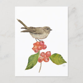 Postal Festiva Aves acuáticas "Sylvia curruca"