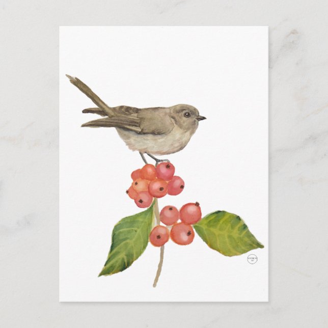 Postal Festiva Aves acuáticas "Sylvia curruca" (Anverso)