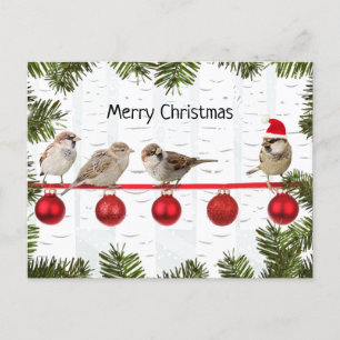 Postal Festiva Aves navideñas amargas en un limbo