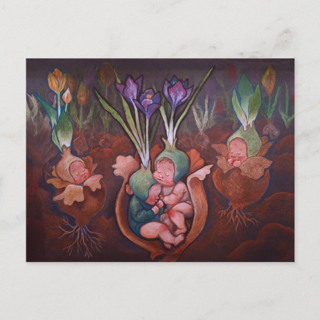 Postal Festiva Baby Bulbs Spring Postcard (Anverso)