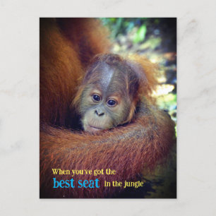 Postal Festiva Baby Orangutan