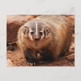 Postal Festiva Badger