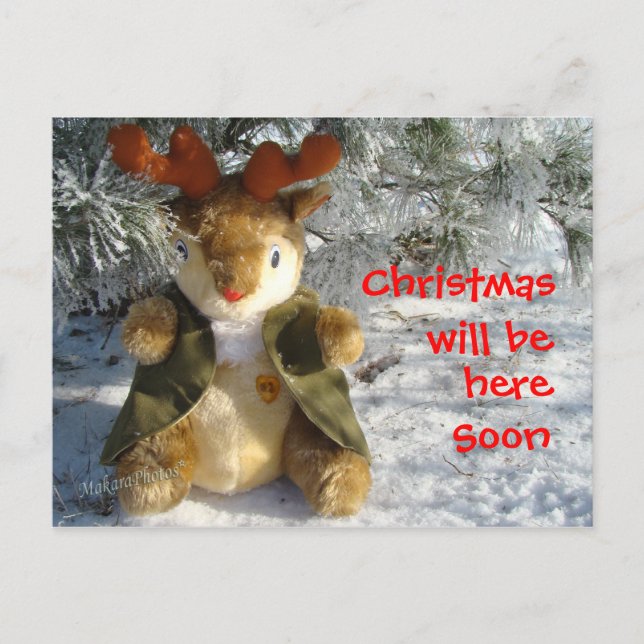 Postal Festiva bajo el nevado personalizar de pino (Anverso)