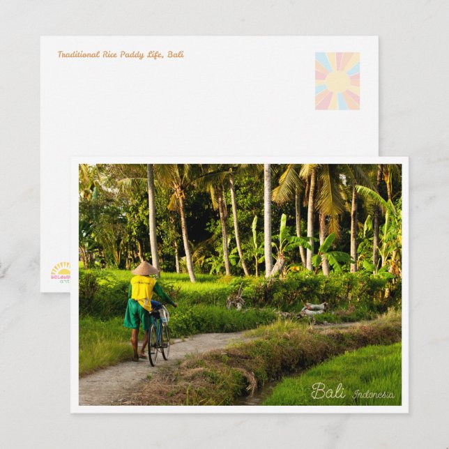 Postal Festiva Bali Rice Field Sunset Postcard (Anverso / Reverso)