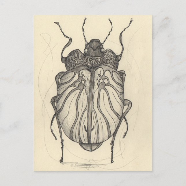 Postal Festiva Balón de escarabajo (Anverso)