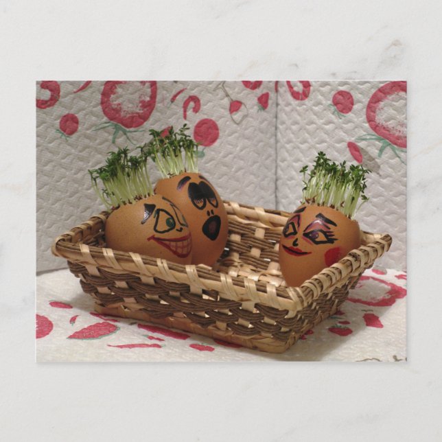 Postal Festiva Bañera De Hidromasaje De Los Amigos De Los Huevos  (Anverso)