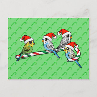 Postal Festiva Bastón de caramelo Santa Budgies