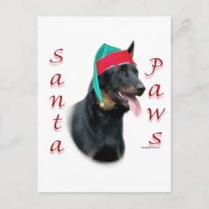 Postal Festiva Beauceron Santa Paws