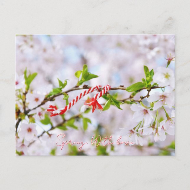 Postal Festiva Beautiful spring greeting (Anverso)