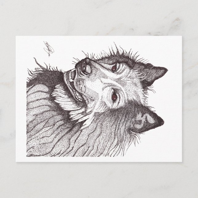 POSTAL FESTIVA BELGIAN SHEPHERD GROENENDAEL (Anverso)