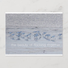 Postal Festiva Belleza aguacate