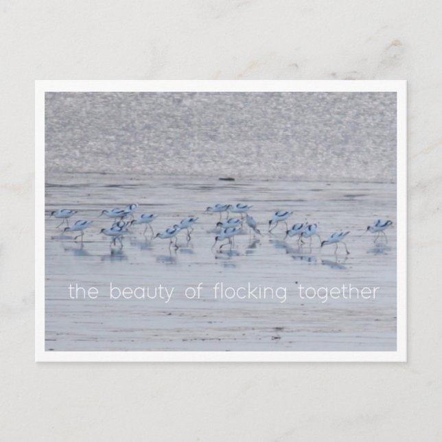 Postal Festiva Belleza aguacate (Anverso)