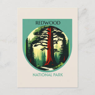 Postal Festiva Belleza del Parque Nacional Redwood en California