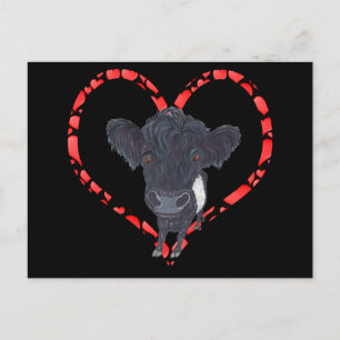 POSTAL FESTIVA BELTED GALLOWAY HEART