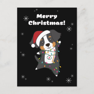 Postal Festiva Bernese Merry Christmas Happy Christmas Dogs