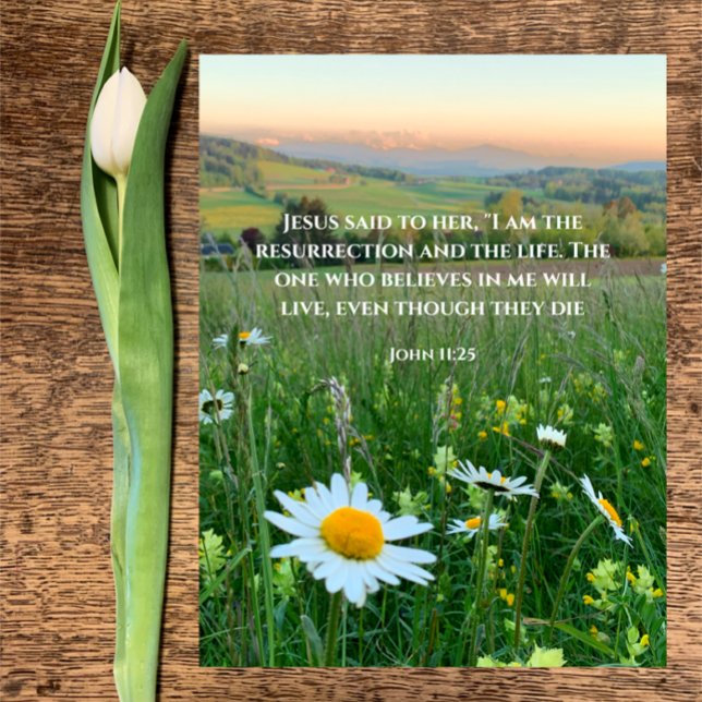 Postal Festiva Biblia cristiana personalizado versus naturaleza o (Beautiful original daisy photo with custom Christian Bible verse John 11:25 Easter resurrection card)