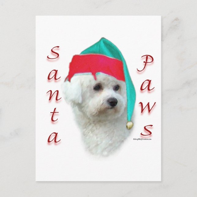 Postal Festiva Bichon Frise Santa Paws (Anverso)