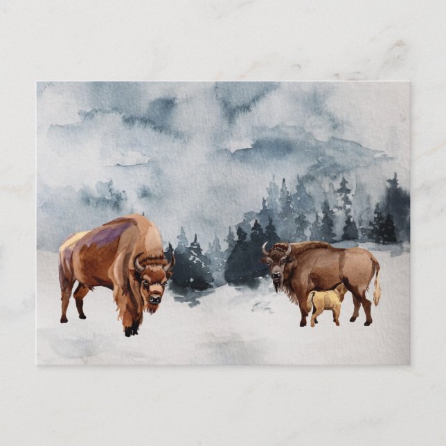 Postal Festiva Bison Buffalo Watercolor Paisaje Invierno (Anverso)