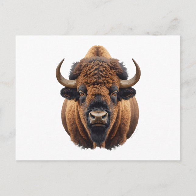 Postal Festiva Bisonte / Búfalo (Anverso)