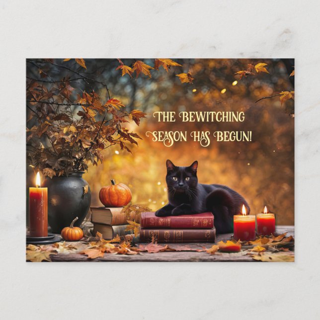 Postal Festiva Black Cat Magic Books Bewewitando Halloween (Anverso)