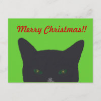 Black cat with green, red  "Merry Christmas"