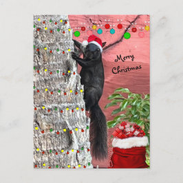 Postal Festiva Black Squirrel Christmas Flat Holiday Card