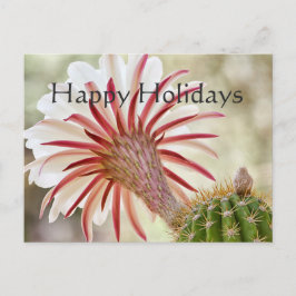 Postal Festiva Bloomero nocturno, vacaciones felices