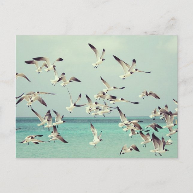 Postal Festiva Bloque de gaviotas volando sobre el océano. (Anverso)