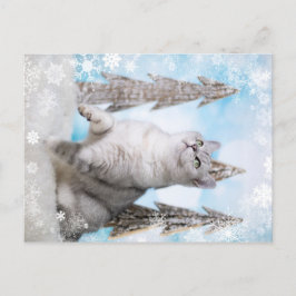 Postal Festiva Blue XMAS 2018