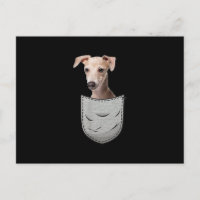 Bolsillo de torta de azote de galgo para perro