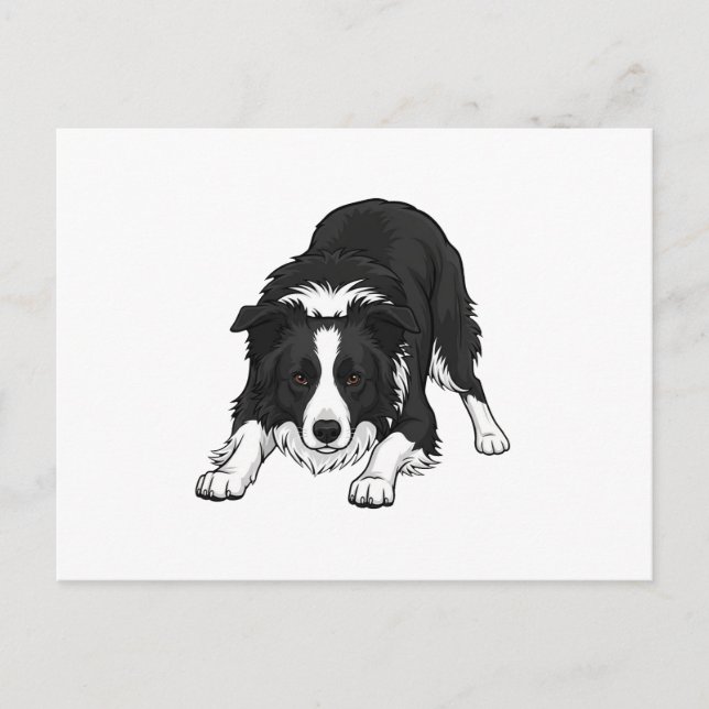 Postal Festiva Border Collie Dog (Anverso)