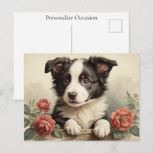 Postal Festiva Border Collie Vintage Cachorro Perro Retrato Rosa