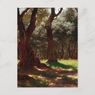 Postal Festiva Bosque de olivos en Cap Saint Martin