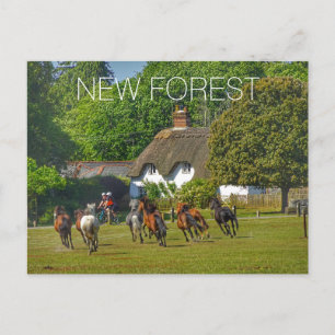 Postal Festiva Bosque Nuevo
