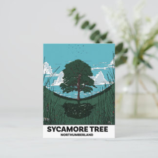 Postal Festiva Brecha del árbol de sicómoro