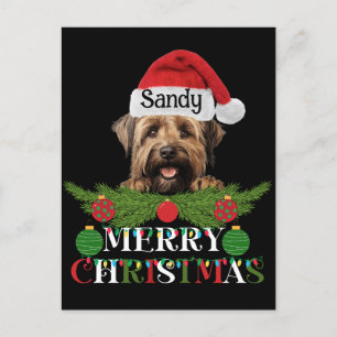 Postal Festiva Briard Dog Merry Christmas
