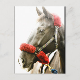 Postal Festiva buenas fiestas