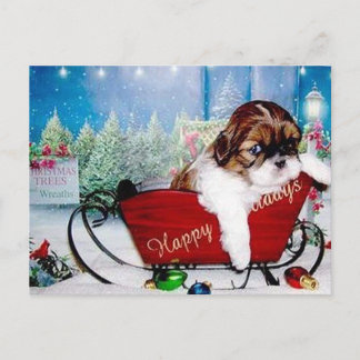 Postal Festiva Buenas fiestas Shih Tzu