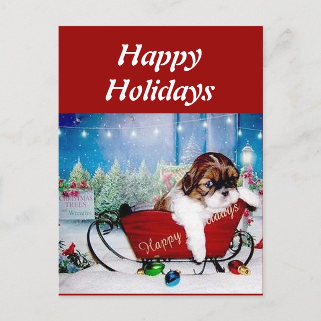 Postal Festiva Buenas fiestas Shih Tzu (Anverso)