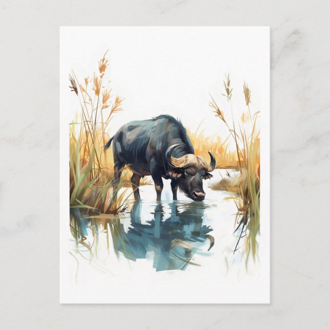 Postal Festiva Búfalo Africano en el Borde del Agua (Anverso)
