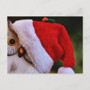 Postal Festiva Búho de Navidades, búho de Papá Noel de Feliz Navi
