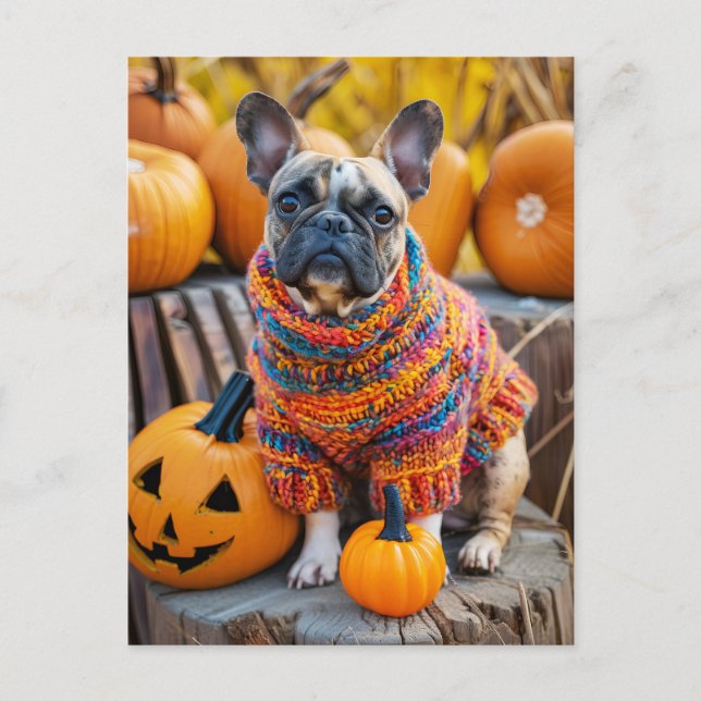 Postal Festiva Bulldog Francés con Ropa de Perro Tejida (Anverso)
