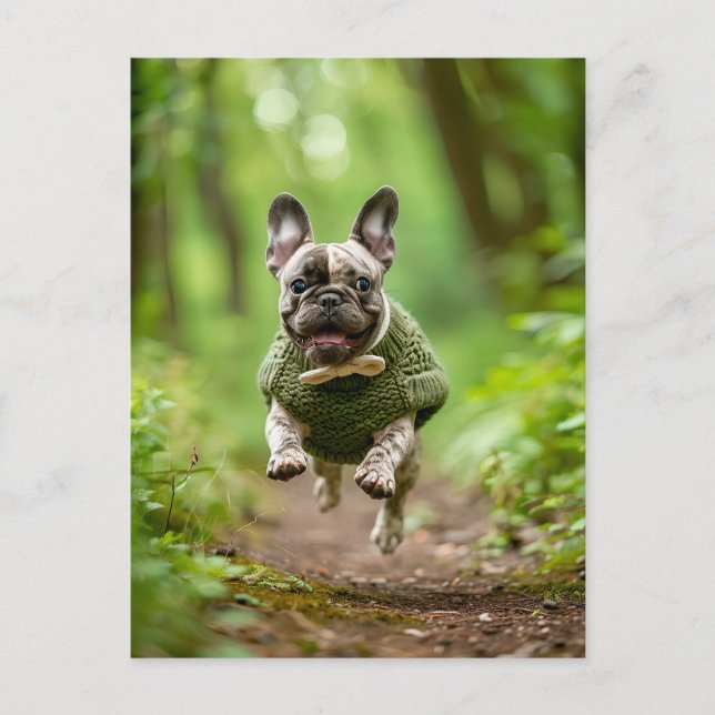 Postal Festiva Bulldog Francés con Ropa de Perro Tejida (Anverso)