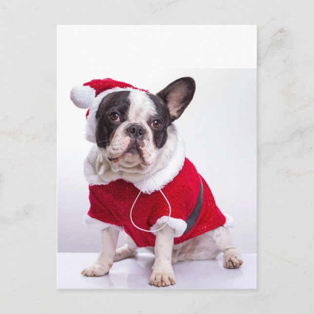 Postal Festiva Bulldog Francés En Vestimenta Santa Para Navidades (Anverso)