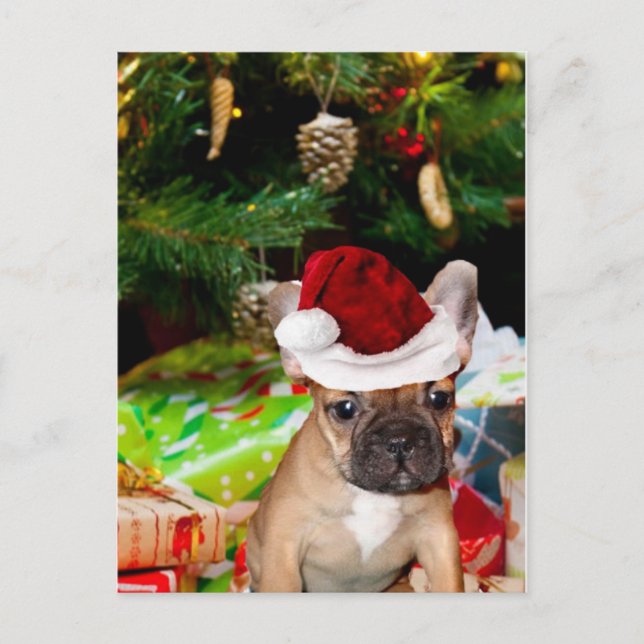Postal Festiva Bulldog francés navidades (Anverso)
