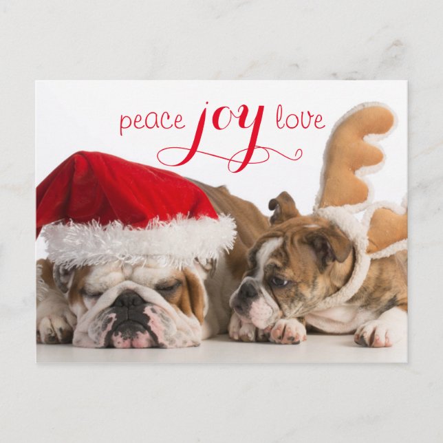 Postal Festiva Bulldog inglés Santa y reno (Anverso)