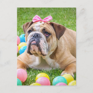 Postal Festiva Bulldog Perro animal dulce de Pascua Hundeportrait