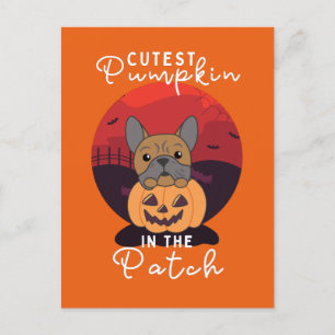 Postal Festiva Bulldog Pumpkin Dogs Cutest Pumpkin In The Patch