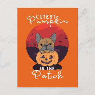 Postal Festiva Bulldog Pumpkin Dogs Cutest Pumpkin In The Patch
