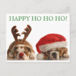 Postal Festiva Bulldoges de navidades Postcard 2<br><div class="desc">¡Saludos rápidos,  fáciles y asombrosos este año! Sólo tienes que añadir el sello de Bulldog correspondiente (disponible en nuestra tienda) y ya has terminado. Happy Ho Ho Ho Ho de PetsRPeople2 Designs</div>